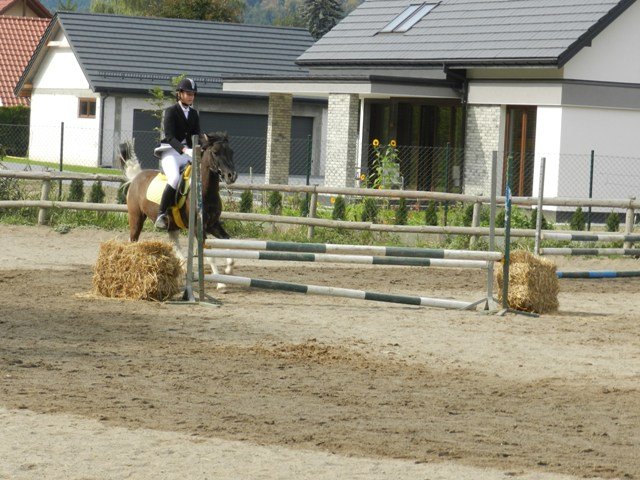 Babie Lato 2016